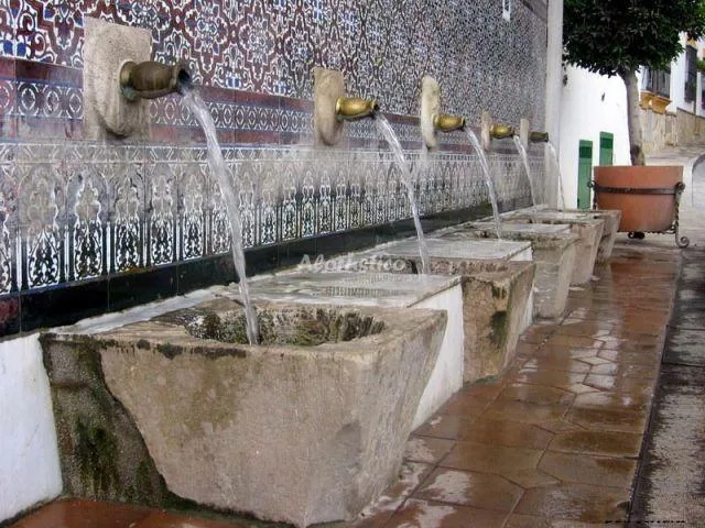 CASA RURAL EL ALCAZAR en ALCAUCÍN — miniatura 11