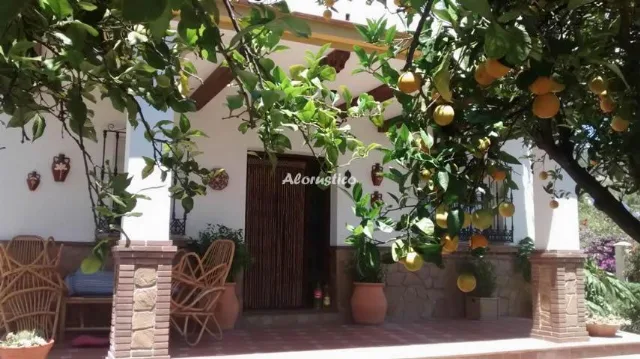 villa riillo en CASARABONELA — miniatura 26