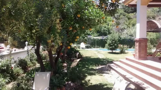 villa riillo en CASARABONELA — miniatura 18