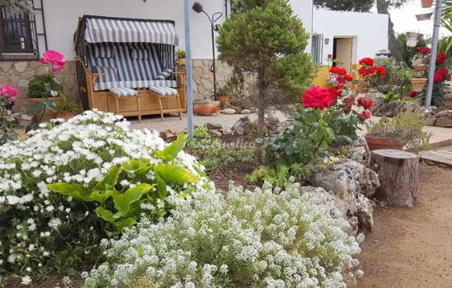 LA CASA DE LÚ en ESTACIÓN DE SALINAS — miniatura 19