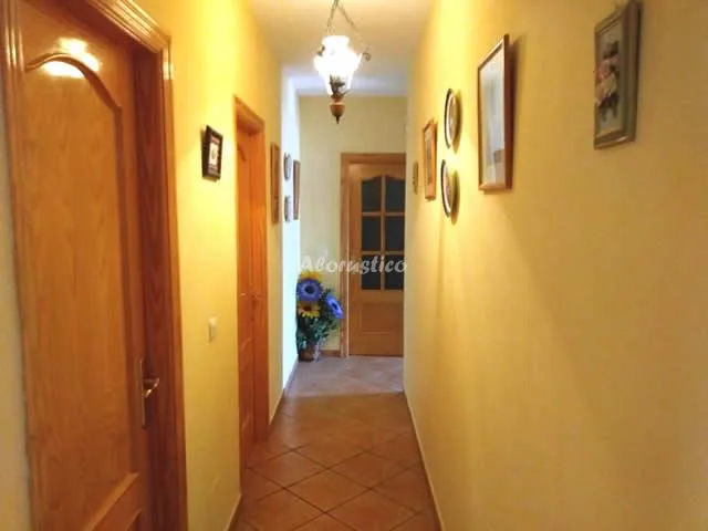 VILLA CELESTINA en ALMÁCHAR — miniatura 8