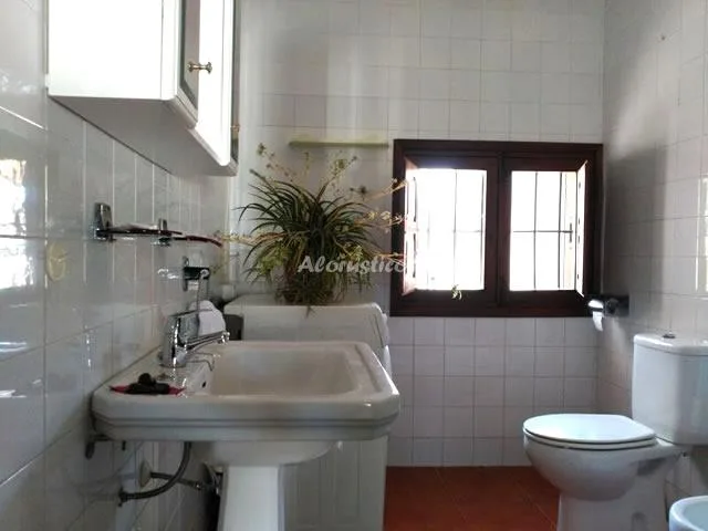 CONJUNTO AL ANDALUS - CASA JARDÍN en ALCAUCÍN — miniatura 22