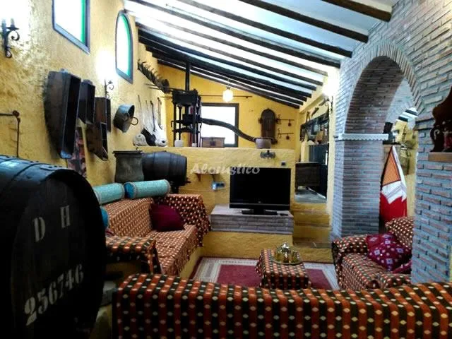 CONJUNTO AL ANDALUS - CASA LAGARILLO en ALCAUCÍN — miniatura 20