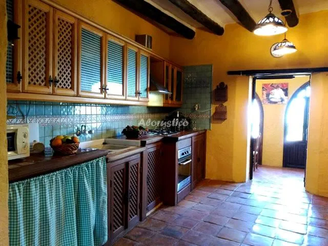 CONJUNTO AL ANDALUS - CASA LAGARILLO en ALCAUCÍN — miniatura 12
