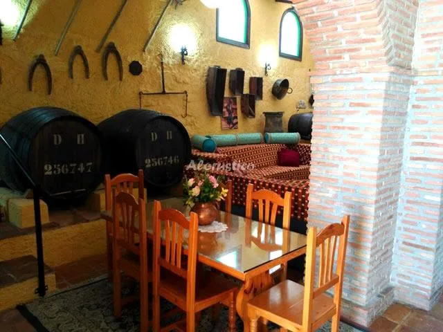 CONJUNTO AL ANDALUS - CASA LAGARILLO en ALCAUCÍN — miniatura 21