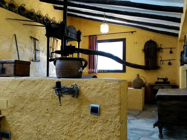 CONJUNTO AL ANDALUS - CASA LAGARILLO en ALCAUCÍN — miniatura 5