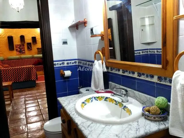 CONJUNTO AL ANDALUS - CASA LAGARILLO en ALCAUCÍN — miniatura 23