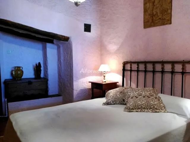 CONJUNTO AL ANDALUS - CASA LAGARILLO en ALCAUCÍN — miniatura 6