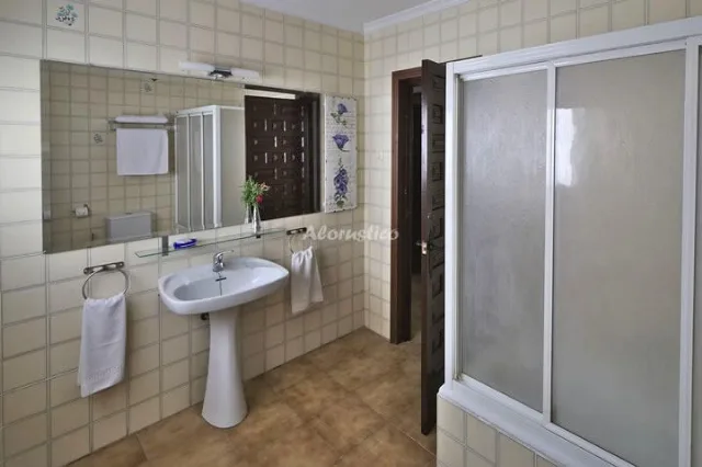 CONJUNTO AL ANDALUS - CASA PATIO LOS NARANJOS en ALCAUCÍN — miniatura 17