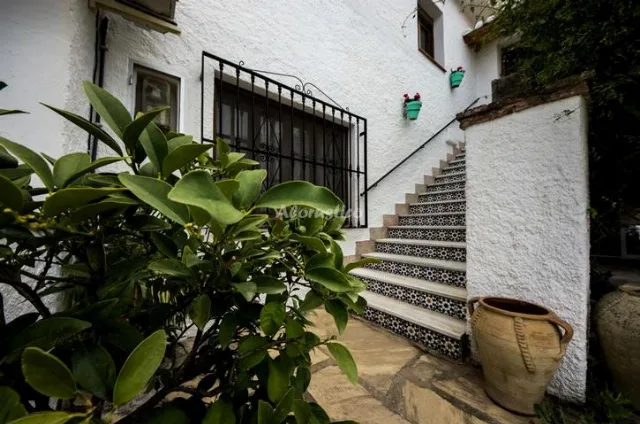 CONJUNTO AL ANDALUS - CASA EL OLIVAR en ALCAUCÍN — miniatura 24