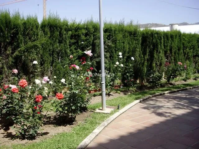 PISO TORROX en TORROX — miniatura 18