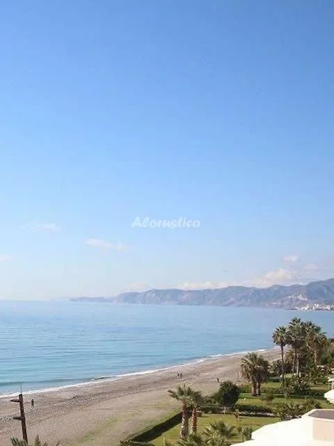 NATURALMENTE TORROX PARK en TORROX — miniatura 28