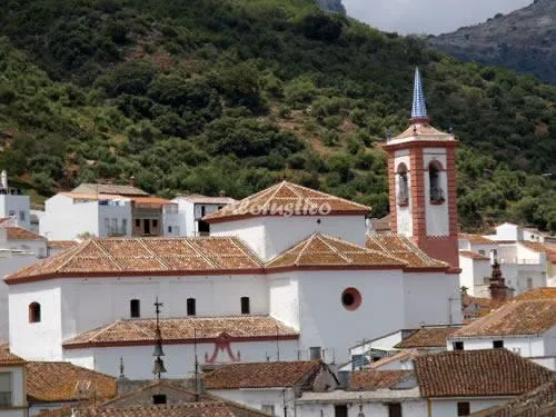 LOS CHOPOS DEL REAL TESORO en CORTES DE LA FRONTERA — foto 3