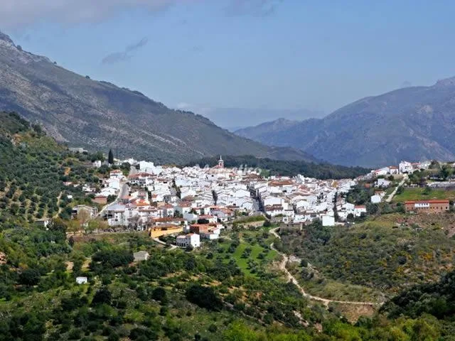 LOS CHOPOS DEL REAL TESORO en CORTES DE LA FRONTERA — miniatura 4