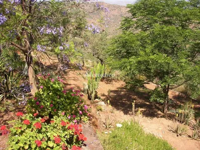 EL PARAISO DE ODILE Y JEEPY en GUARO — miniatura 8