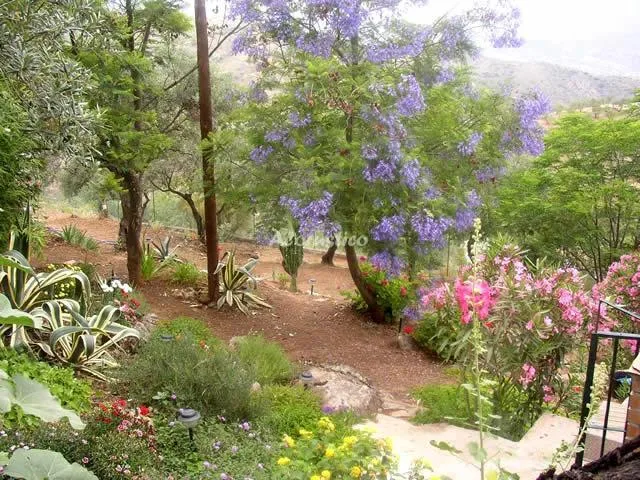 EL PARAISO DE ODILE Y JEEPY en GUARO — miniatura 26