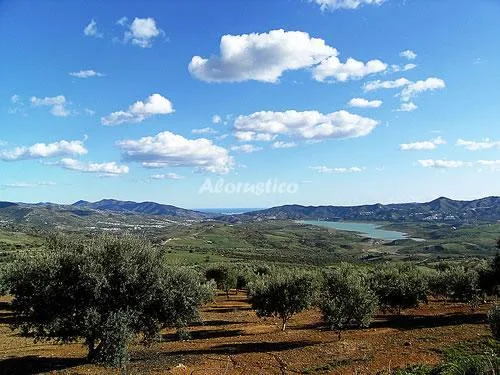 LA SOLANA en LA VIÑUELA — miniatura 23