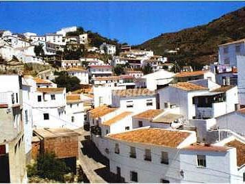 Alojamiento turístico CASA ZENAIDA en EL BORGE, MÁLAGA