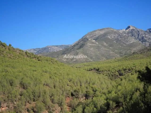 MIRADOR LAS CLARAS en IZNATE — miniatura 17