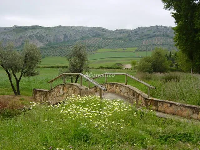 CASA DOLORES en CUEVAS DEL BECERRO — miniatura 7