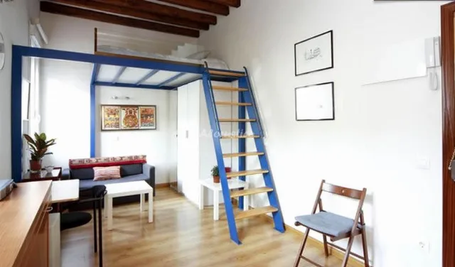 ESTUDIO ZONA MUSEOS en MADRID — miniatura 6