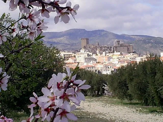 CASA LA YEDRA en MORATALLA — foto 2