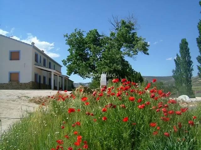 ARROYOFRANCO 3 en MORATALLA — miniatura 5