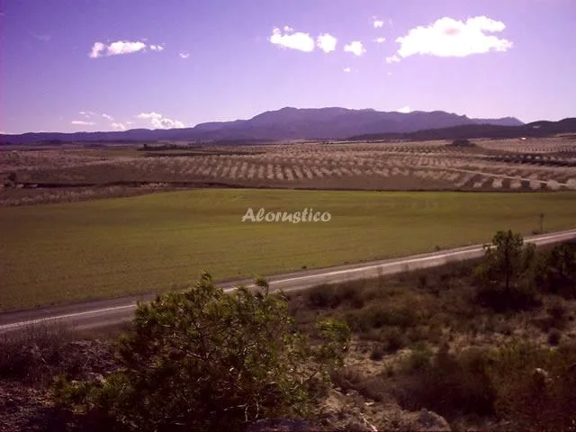 CORTIJO LA SEÑORITA en MULA — miniatura 8