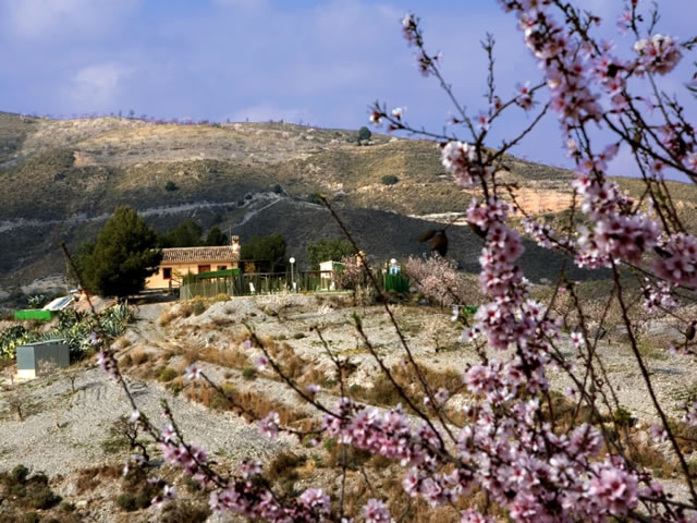 Alojamiento turístico LA SOLANA en LORCA, MURCIA