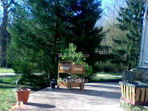 ESTUDIO OROBE en ALSASUA — miniatura 8