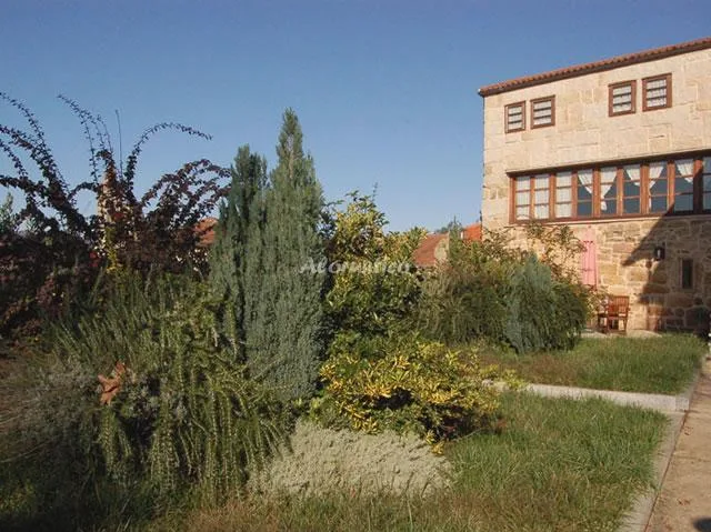 PAZO DE ESPOSENDE--90 + 90 HABITACIÓN 1 en RIBADAVIA — foto 2