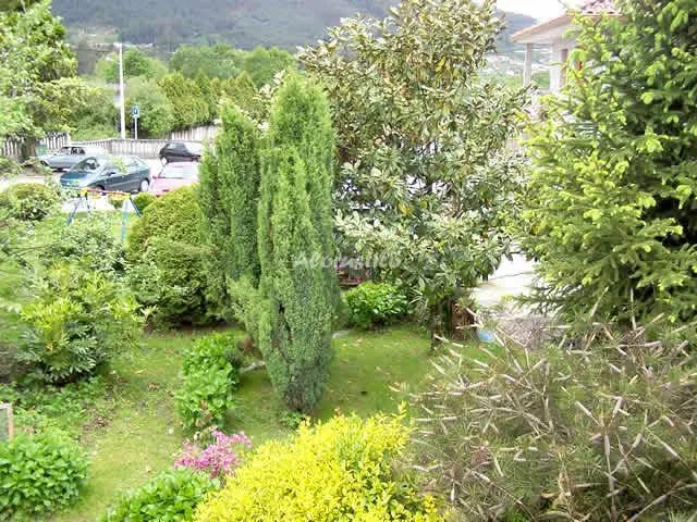 PENSIÓN RURAL CASA CUÑA-HABIT 101-MATRIMONIO CON SUPLET (BAÑERA) en TOMIÑO — foto 3