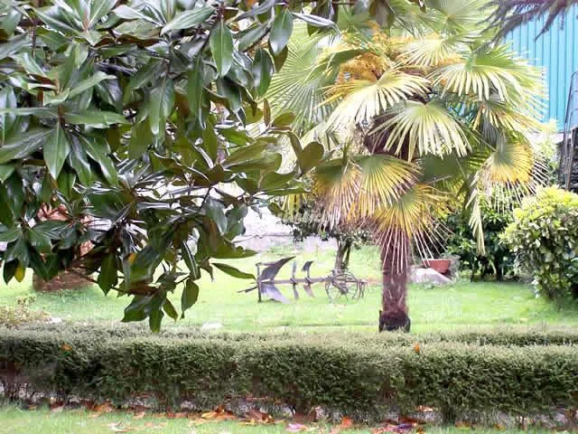 PENSIÓN RURAL CASA CUÑA-HABIT 101-MATRIMONIO CON SUPLET (BAÑERA) en TOMIÑO — miniatura 19