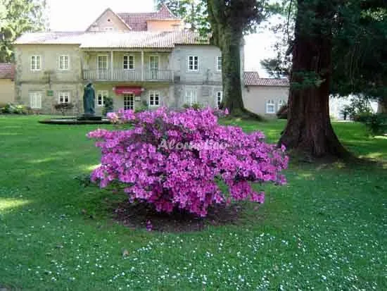 CASA DE 1910 en SOUTOMAIOR — miniatura 11