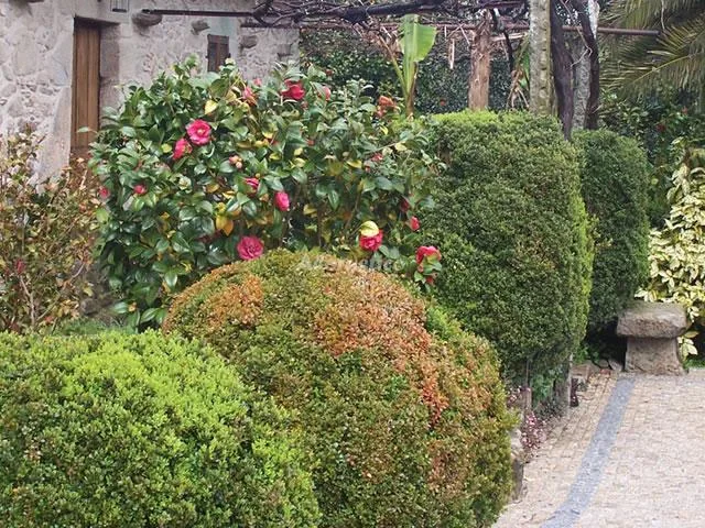 CASA PAREDES en TOMIÑO — miniatura 15