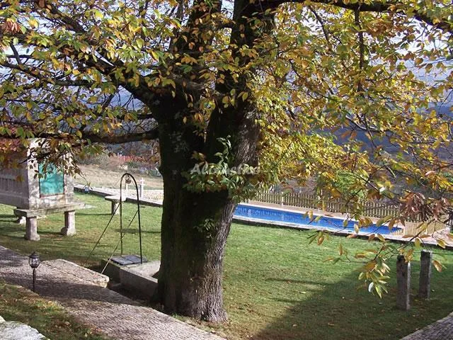CASA LEIRO en PAZOS DE BORBEN — foto 3