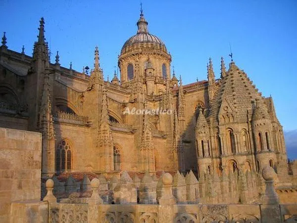 CASA RURAL LA SANDOVALA en FORFOLEDA — miniatura 13