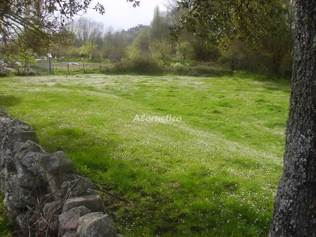 Alojamiento turístico CASITA DE ANA en LA ALAMEDILLA, SALAMANCA