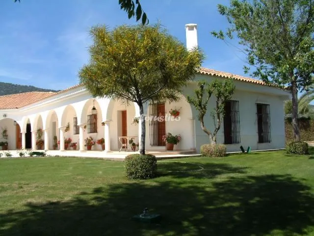 FINCA LA AURORA-LOS PINOS en ESTEPA — foto 2