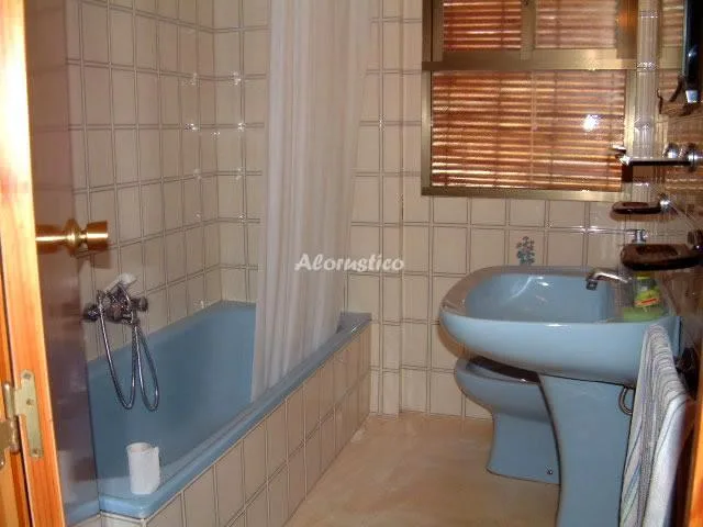 FINCA LA AURORA-LOS PINOS en ESTEPA — miniatura 9