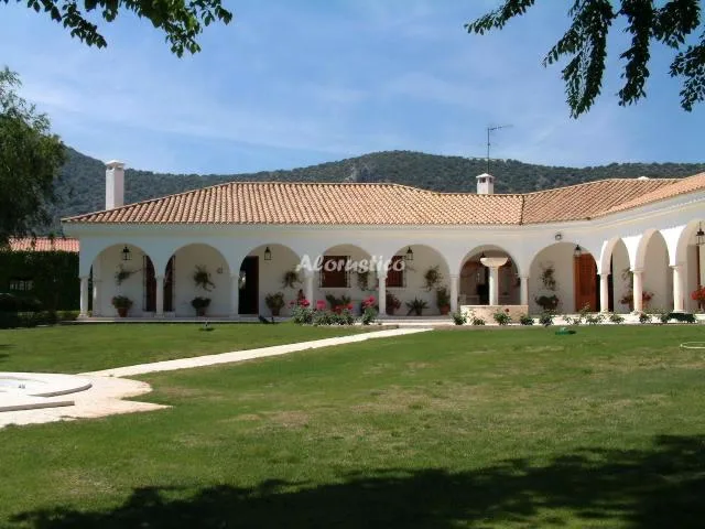 FINCA LA AURORA-LOS PINOS en ESTEPA — miniatura 16
