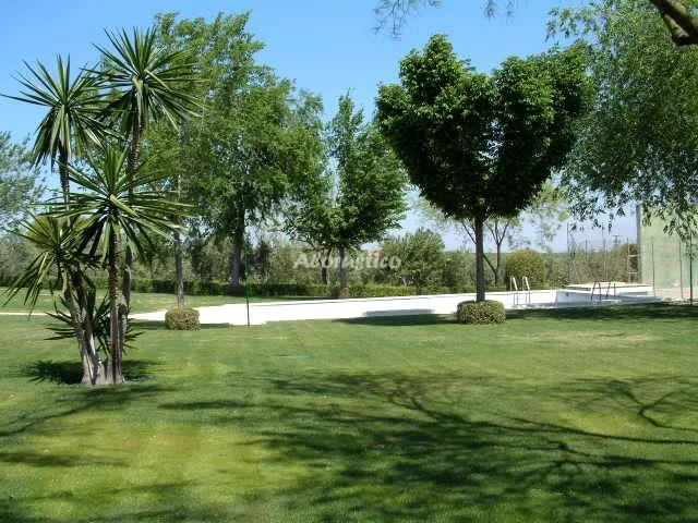 FINCA LA AURORA-LOS PINOS en ESTEPA — miniatura 6