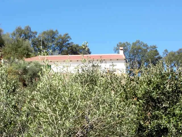 CASA VILLAMERCEDES en LA PUEBLA DE LOS INFANTES — miniatura 6