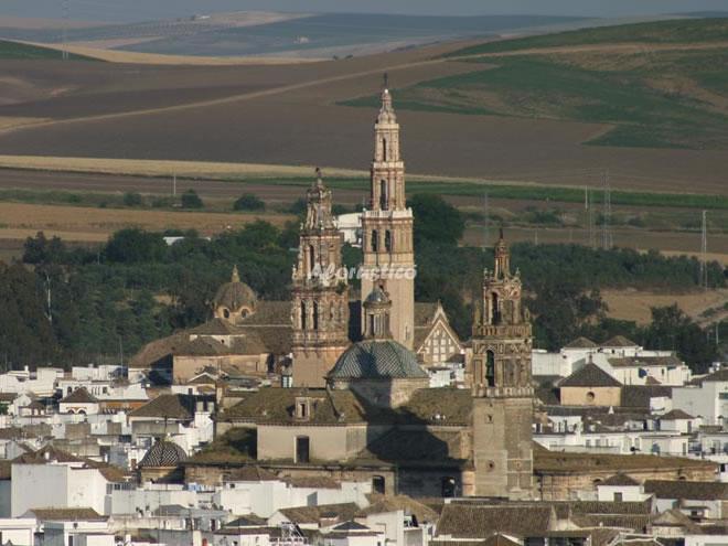 Alojamiento turístico HACIENDA LA PALMA-CASA DEL POZO en ÉCIJA, SEVILLA