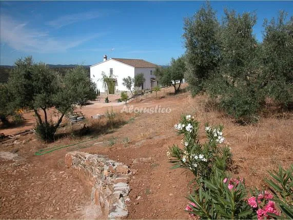 CASA SOLANA DEL CASTILLO en ALANÍS — foto 2