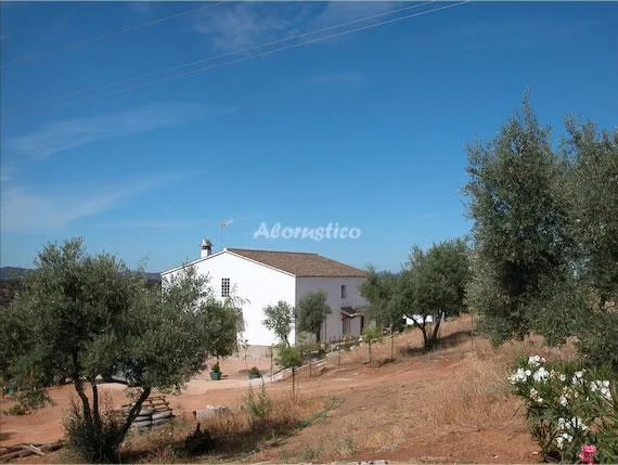 CASA SOLANA DEL CASTILLO en ALANÍS — miniatura 14