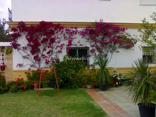 CASA SAN LEANDRO en SAN LEANDRO — miniatura 5