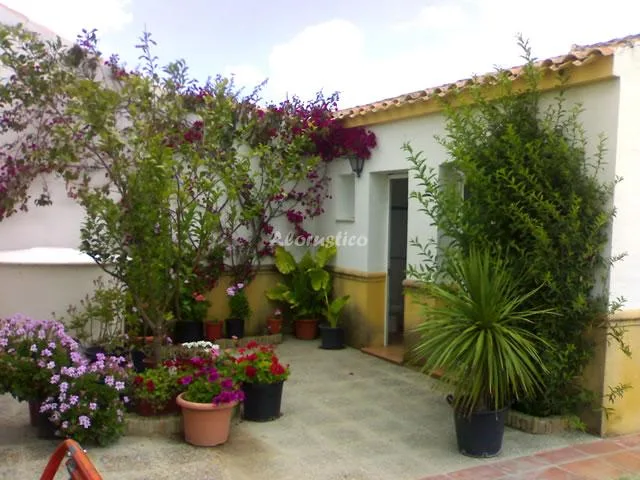 CASA SAN LEANDRO en SAN LEANDRO — miniatura 17