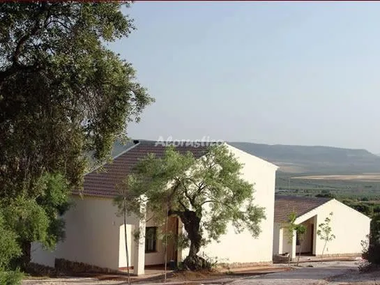 CORTIJO LA CAÑADA - PASOS LARGOS en ESTEPA — miniatura 11