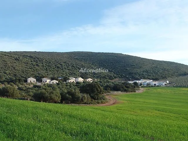 CORTIJO LA CAÑADA - PASOS LARGOS en ESTEPA — miniatura 4